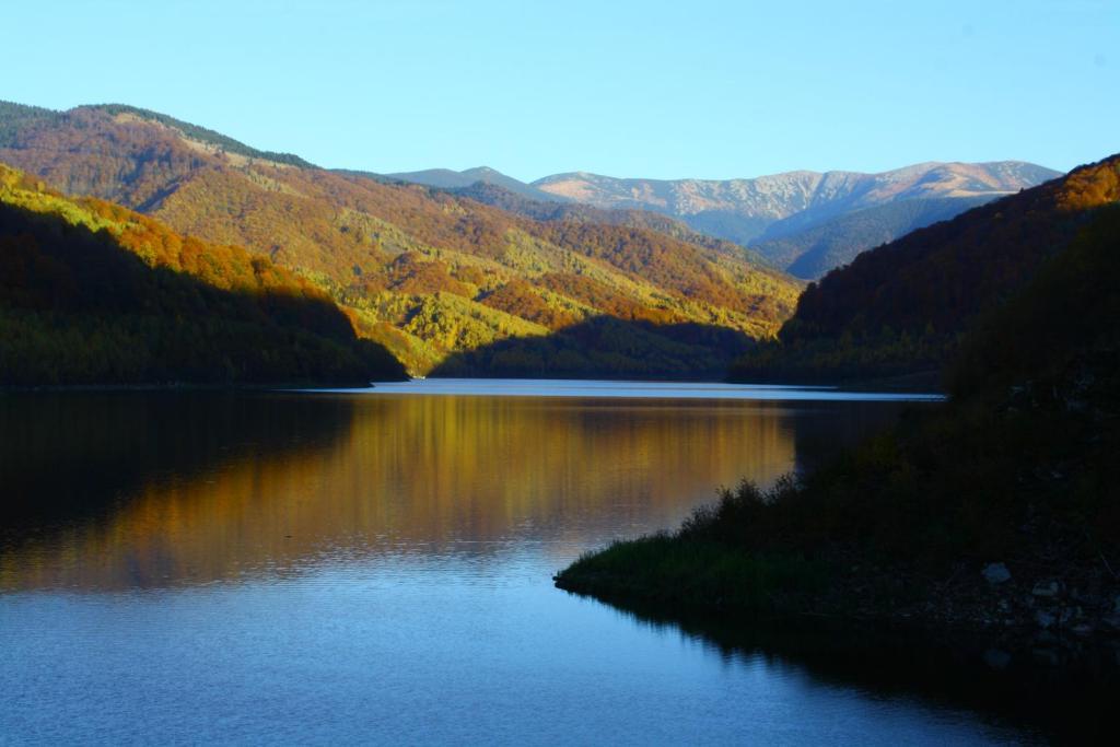 Vila Sucu Poiana Mărului Exterior foto